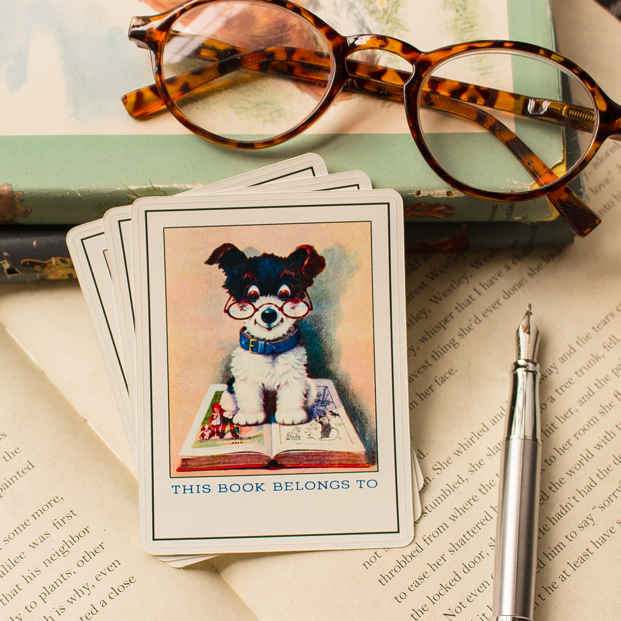 Cute Puppy Bookplate Stickers - Children's Book Plates - Sunshine and Ravioli