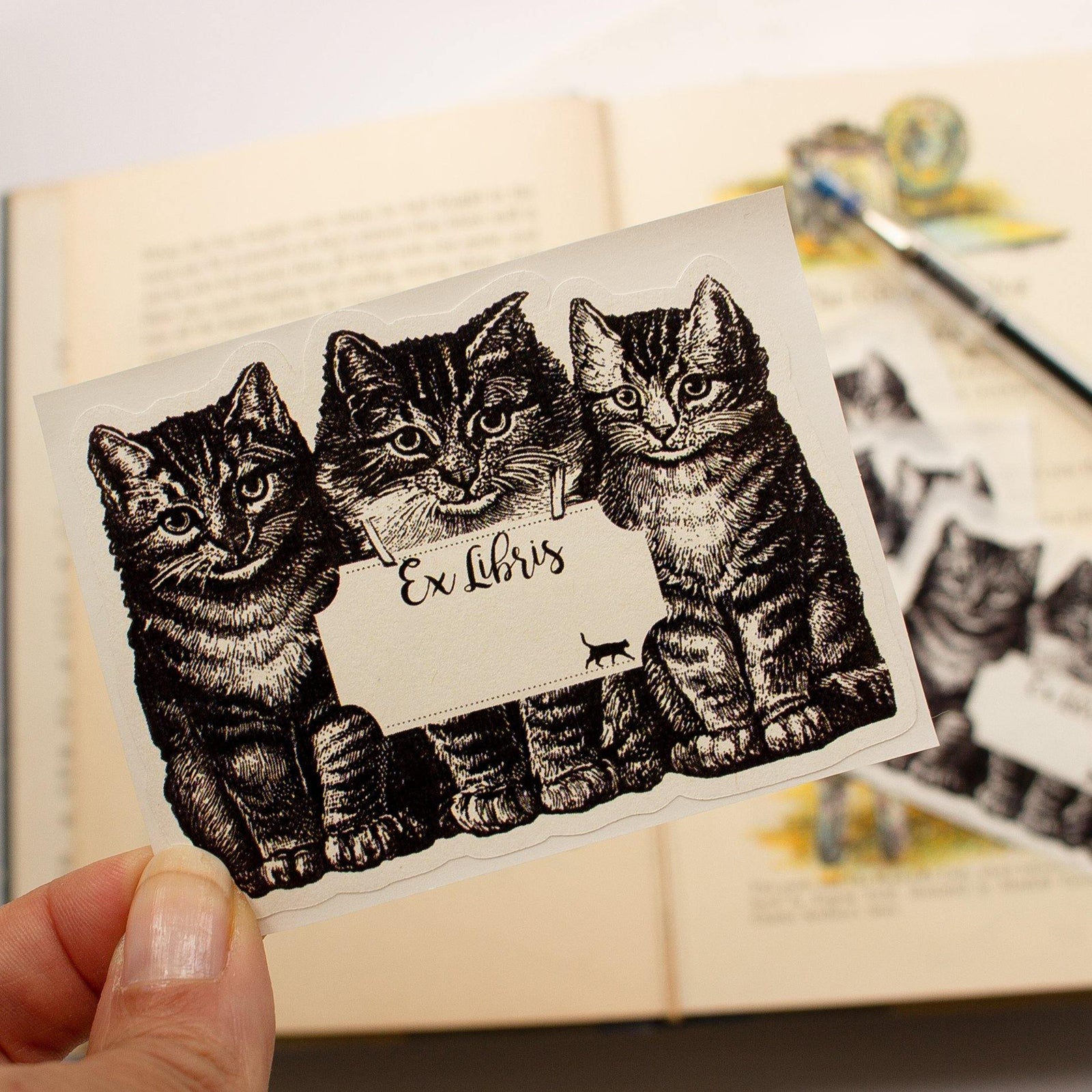 Cat bookplates personalized - set of 10 - Sunshine and Ravioli