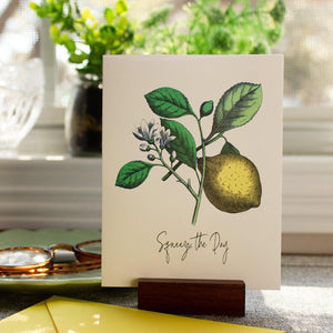 Squeeze the Day  Encouragement Greeting Card - Motivational Card for Best Friend - Lemon Pun Card - Just Because Inspirational Card