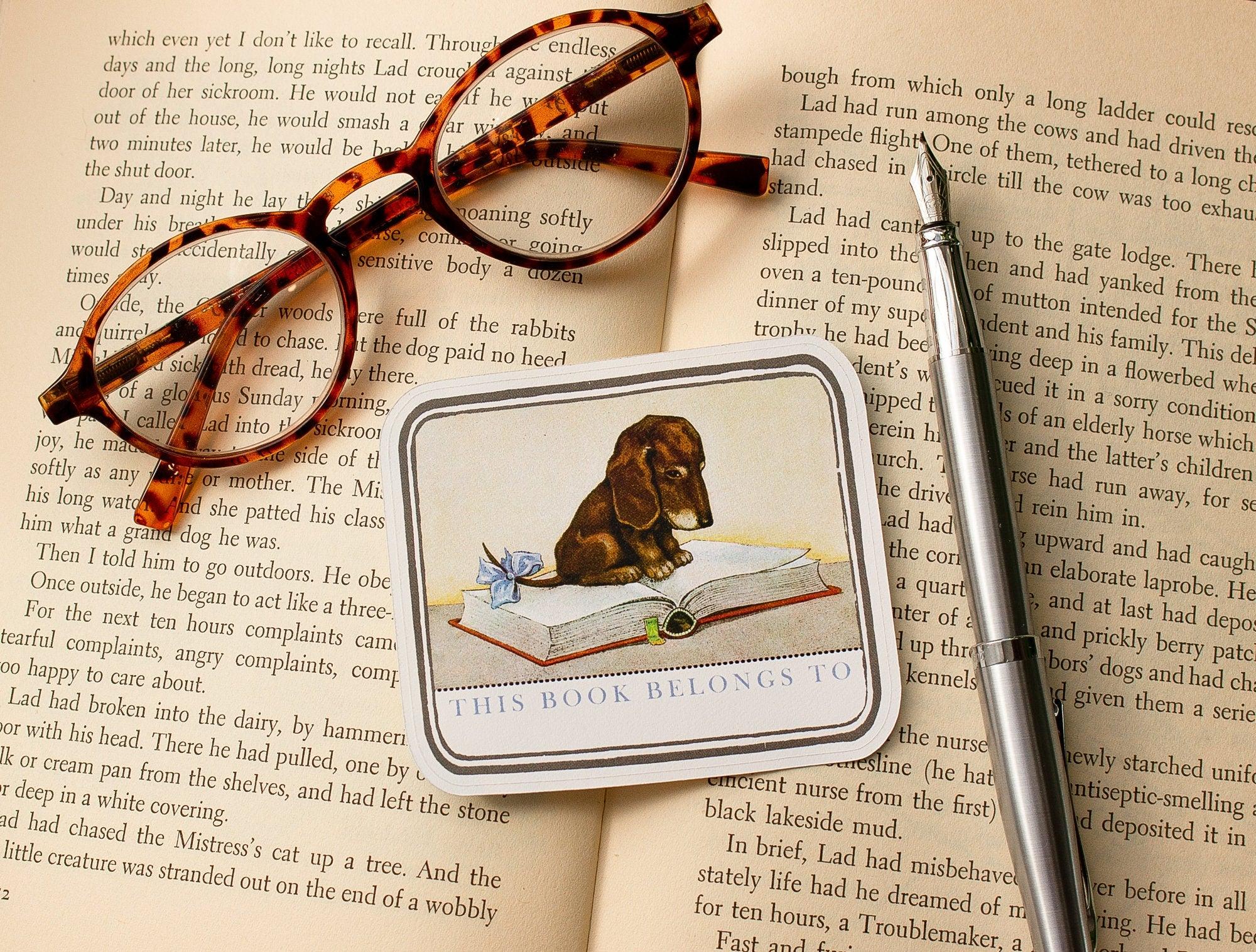 Personalized Dachshund Puppy Bookplates - Bookish Gift for Kids - Set of 10 - Ex Libris - Book Label - Book Plate Stickers