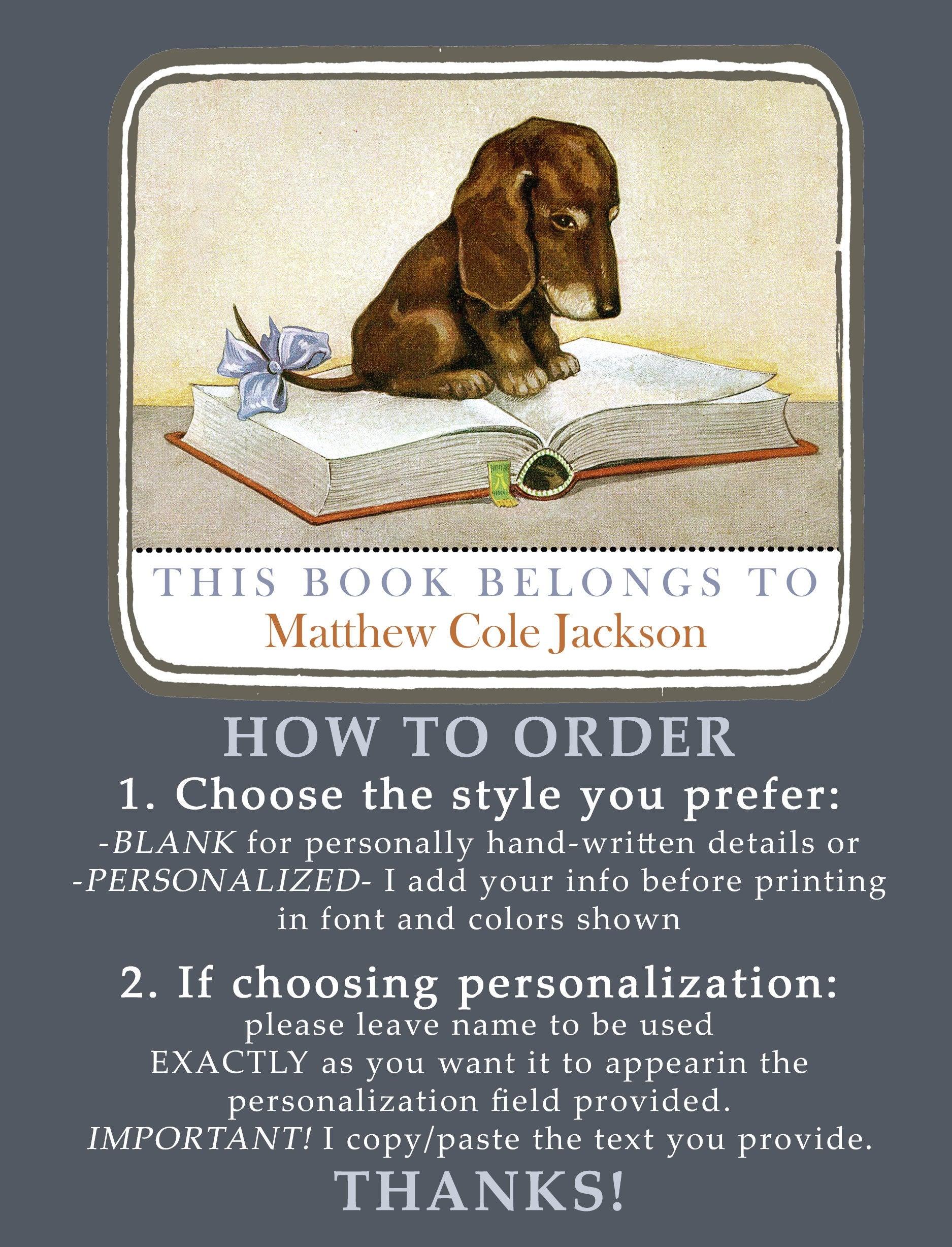 Personalized Dachshund Puppy Bookplates - Bookish Gift for Kids - Set of 10 - Ex Libris - Book Label - Book Plate Stickers