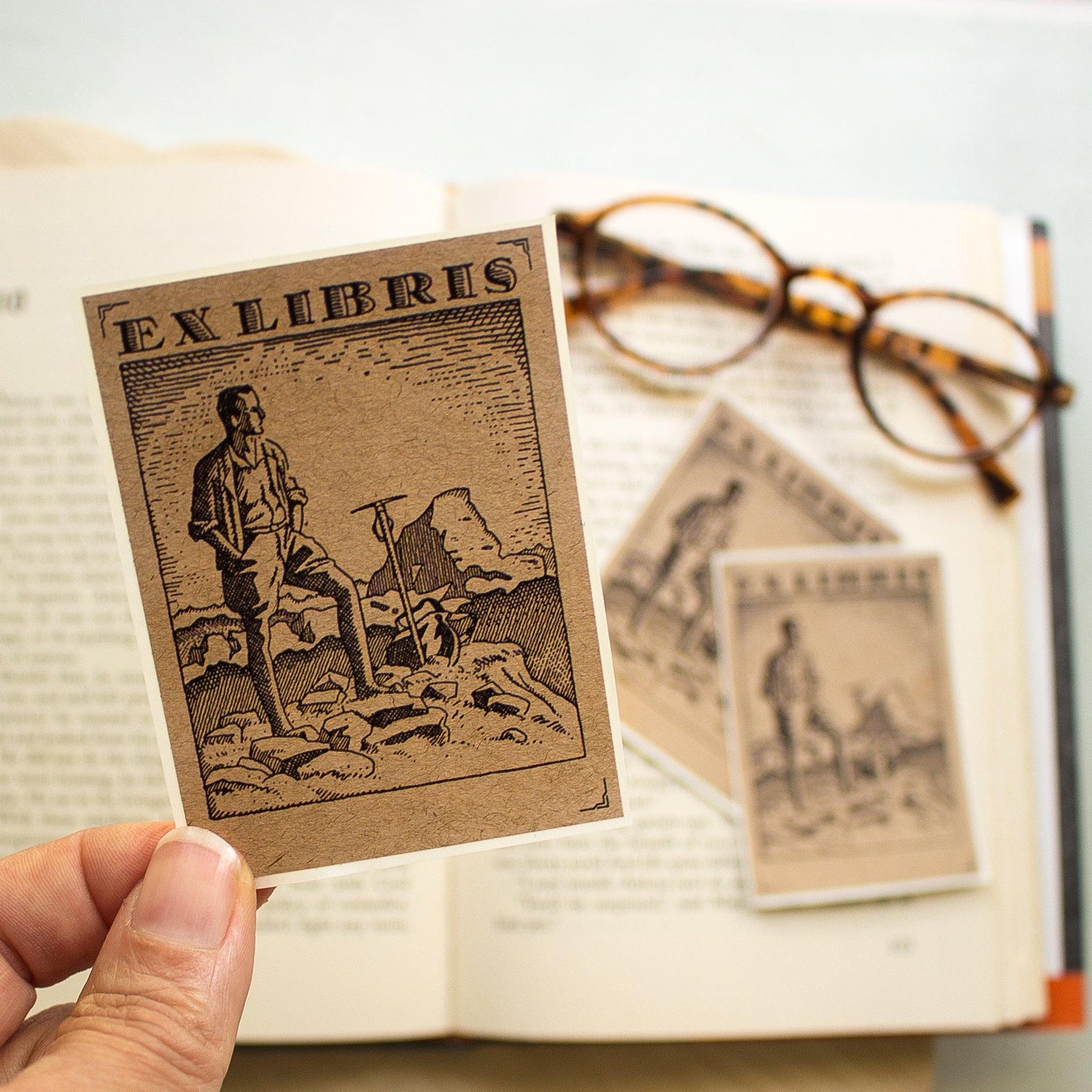 masculine mountaineer bookplates - set of 10 - Sunshine and Ravioli