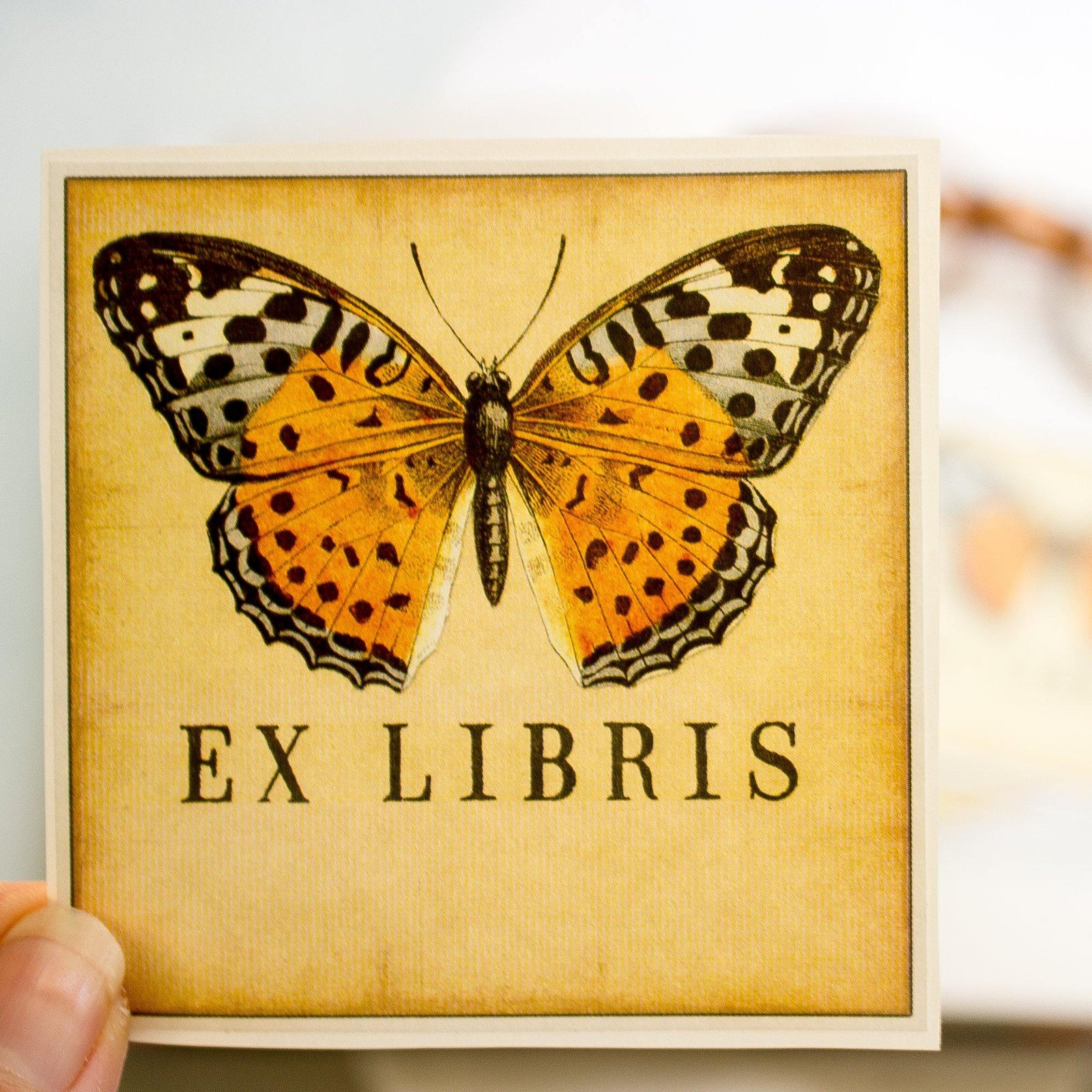 orange butterfly bookplate stickers - set of 10 - Sunshine and Ravioli