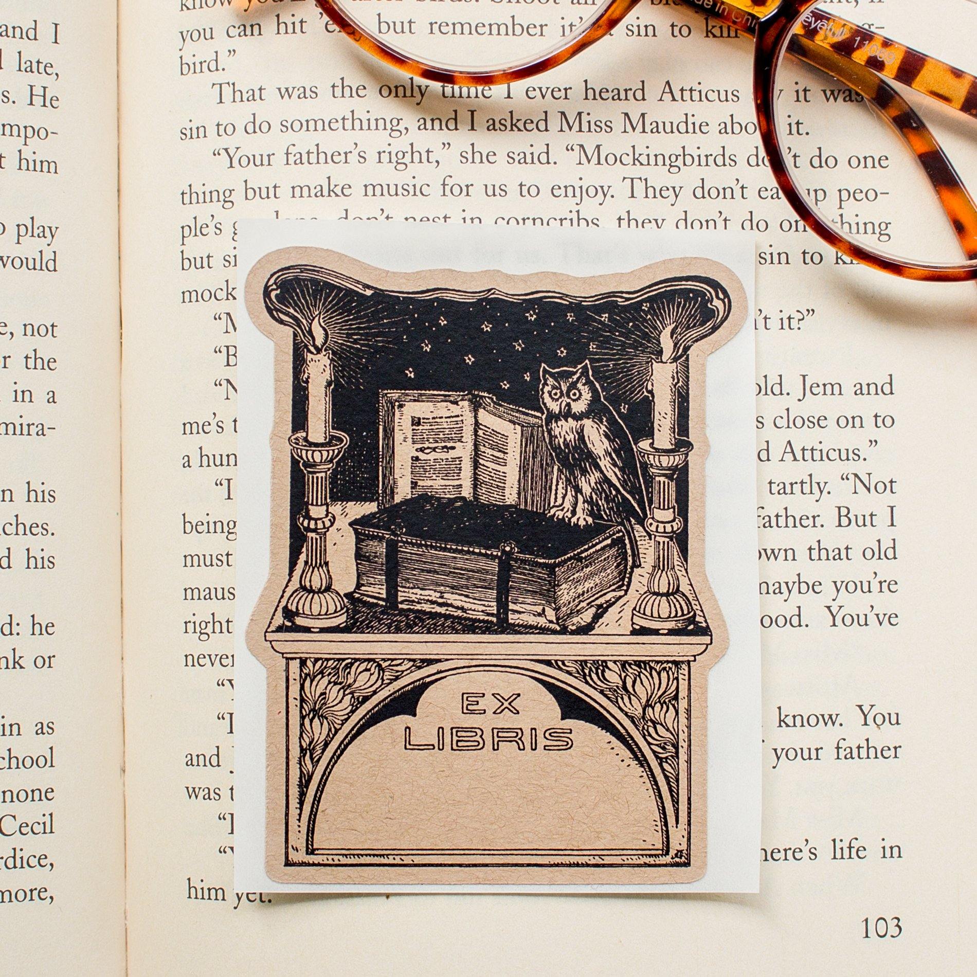 Owl in Library Book Plate Stickers - set of 10 - Sunshine and Ravioli