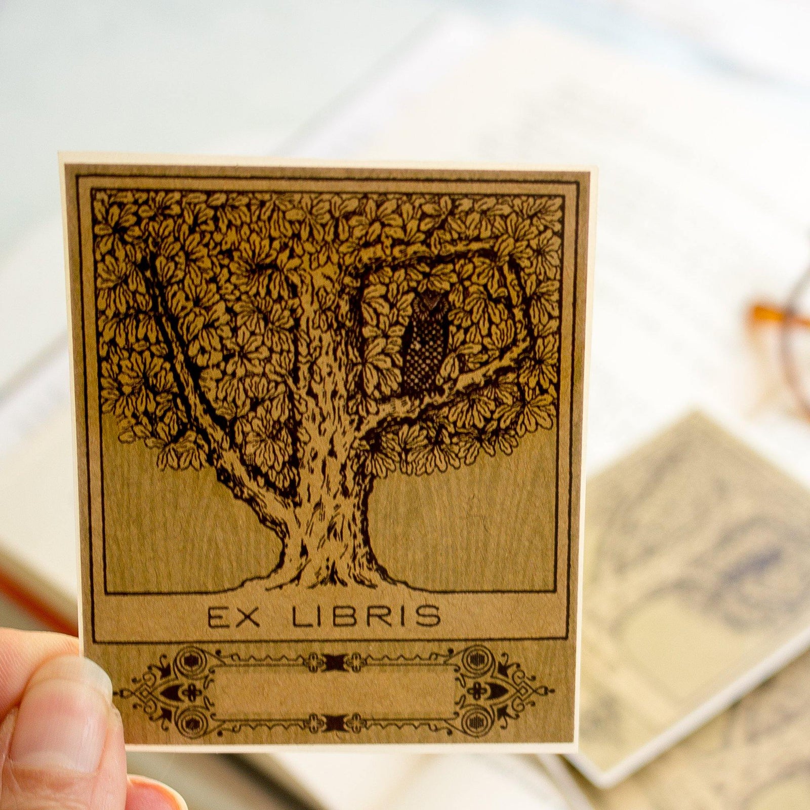 owl in tree book plates - set of 10 - Sunshine and Ravioli