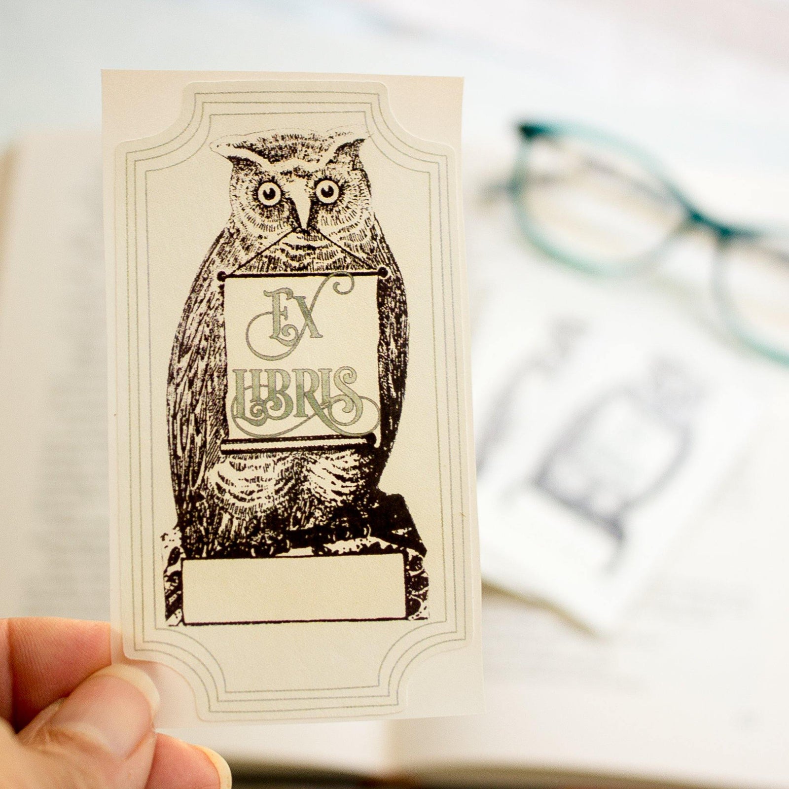 owl with scroll bookplates - set of 10 - Sunshine and Ravioli
