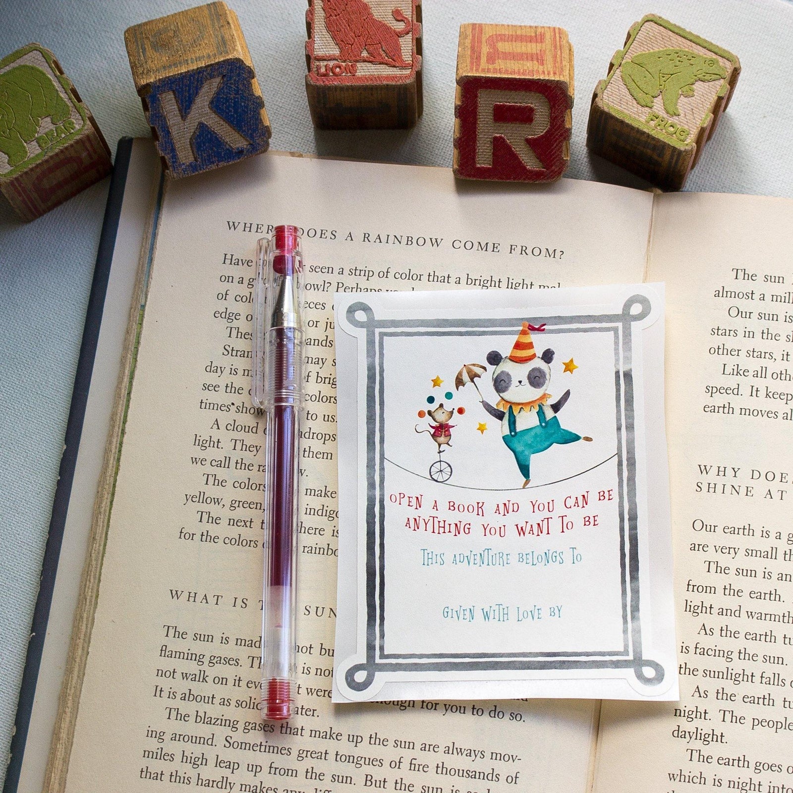 Panda Bear Baby Shower Bookplates - set of 10 - Sunshine and Ravioli