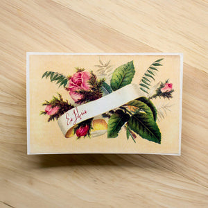 pink rose book plates - set of 10 - Sunshine and Ravioli