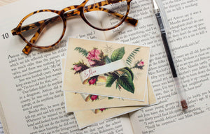 pink rose book plates - set of 10 - Sunshine and Ravioli