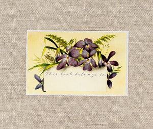 violet bookplates - set of 10 - Sunshine and Ravioli