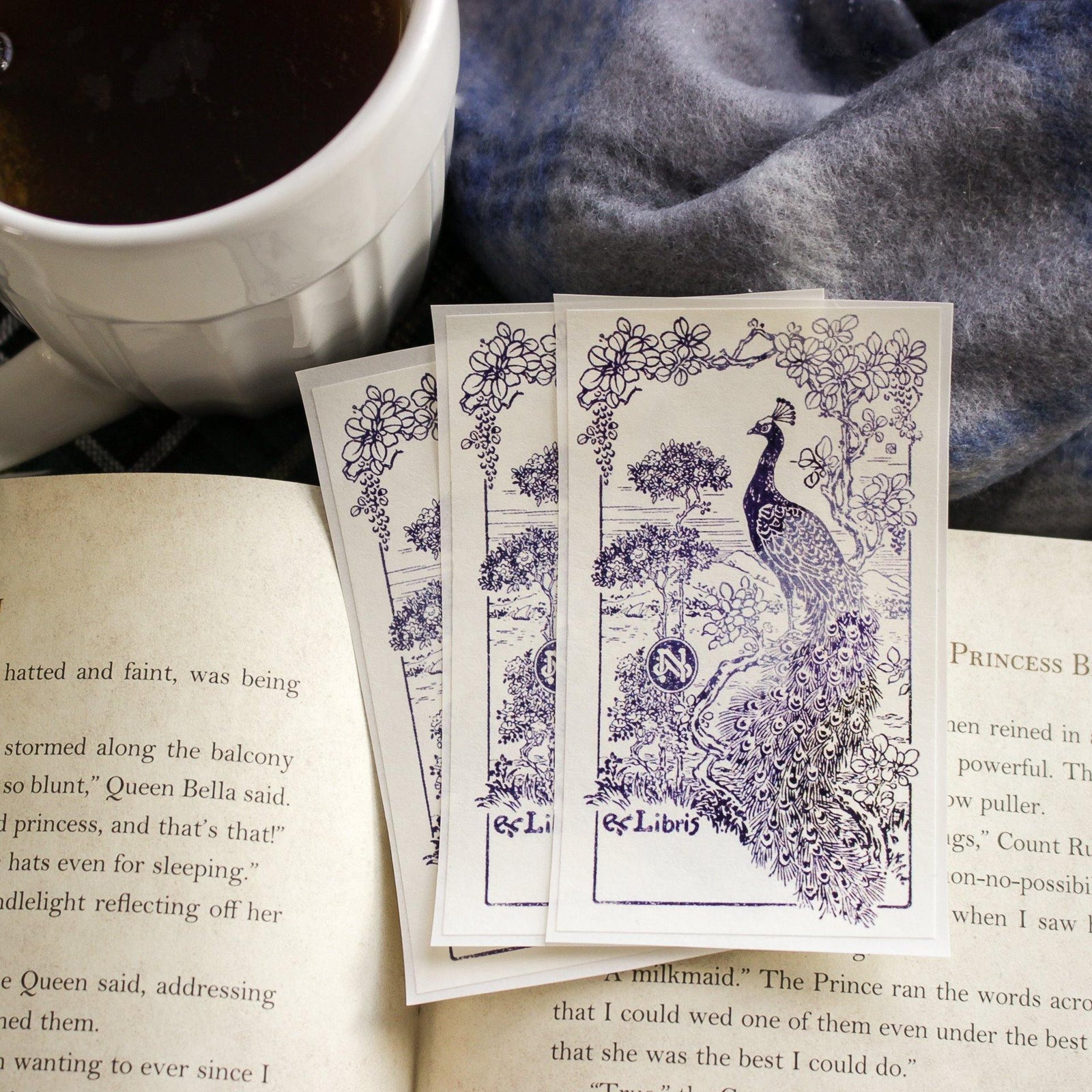 Watercolor Peacock Book Plates - set of 10 - Sunshine and Ravioli